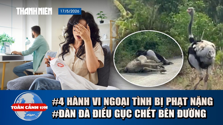 Toàn cảnh 17h: Bí ẩn đàn đà điểu gục chết bên đường | Tăng gấp đôi mức phạt người ngoại tình