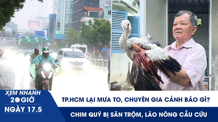 Xem nhanh 20h ngày 17.5: TP.HCM lại mưa to, chuyên gia cảnh báo | Chim quý bị săn trộm, lão nông cầu cứu