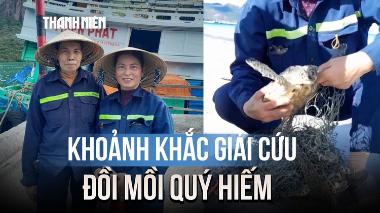 Khoảnh khắc giải cứu đồi mồi quý hiếm ở Côn Đảo