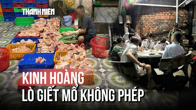 TP.HCM: Kinh hoàng 1 tấn gà không nguồn gốc