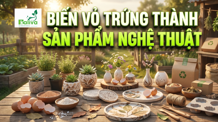Cùng sống xanh số 149: Ý tưởng từ một lần đi ăn, sinh viên biến vỏ trứng thành sản phẩm tinh xảo
