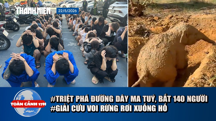 Toàn cảnh 17h: Triệt phá đường dây ma tuý, bắt 140 người | Cận cảnh giải cứu voi rừng rơi xuống hố