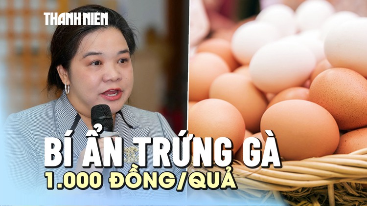 Bí ẩn trứng gà 1.000 đồng/quả, nhà sản xuất thực phẩm sạch bế tắc