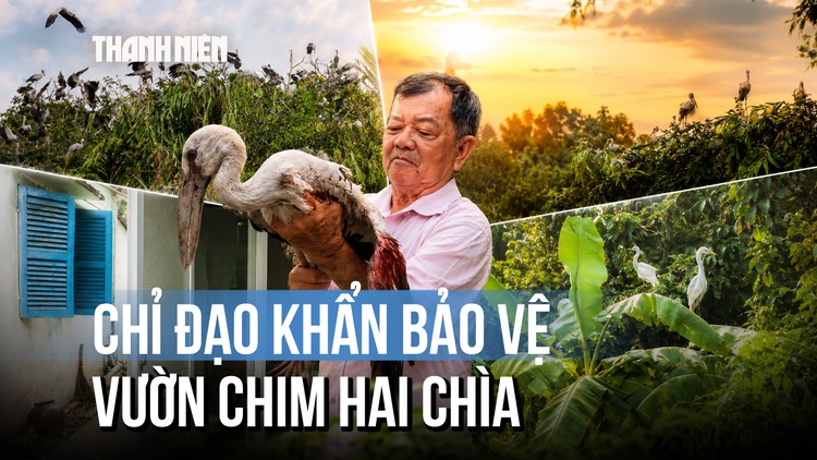 Vụ chủ vườn chim Hai Chìa kêu cứu: Chủ tịch UBND tỉnh Vĩnh Long chỉ đạo khẩn