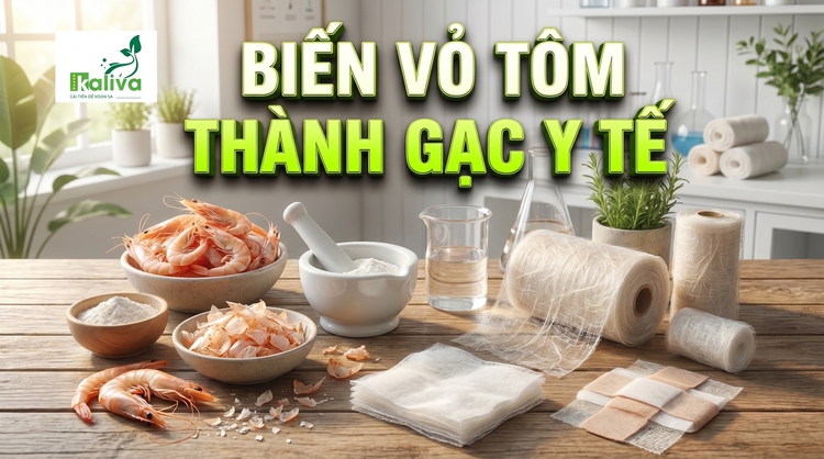 Cùng sống xanh số 150: Sinh viên năm nhất biến vỏ tôm thành băng gạc y tế
