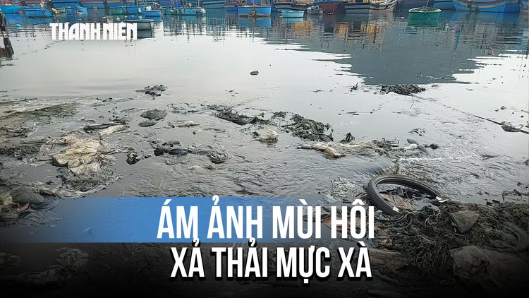 Rùng mình nước thải đen đặc 'bức tử' đầm Đề Gi: Ám ảnh mùi hôi mực xà