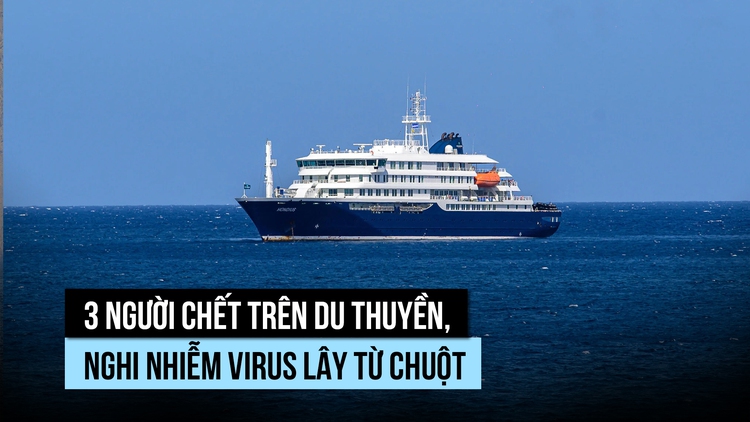 3 người chết sau khi dịch virus bùng phát trên du thuyền