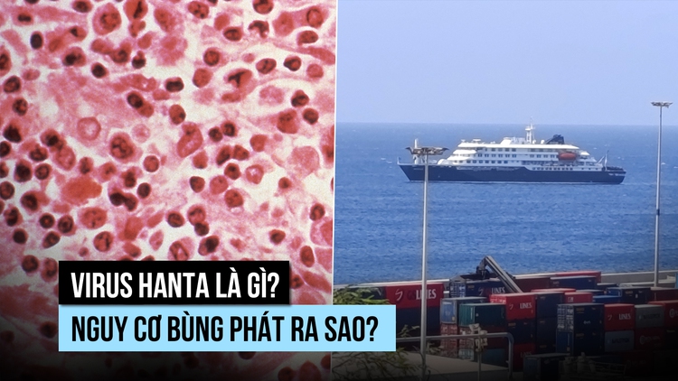 Virus hanta có nguy cơ lây từ người qua người không?