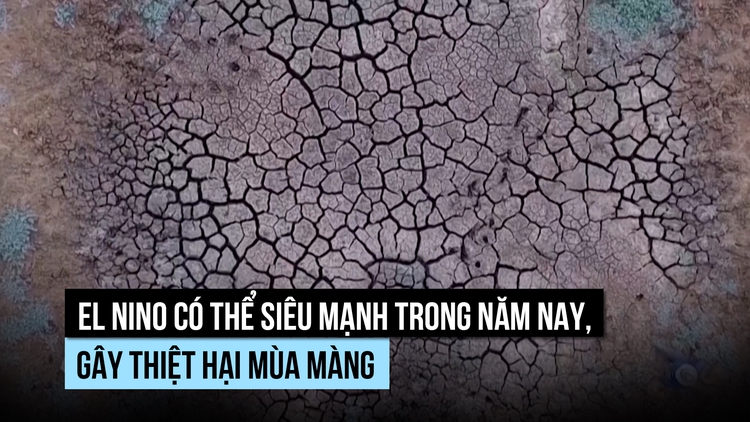 'Siêu El Nino' có xuất hiện trong năm nay?