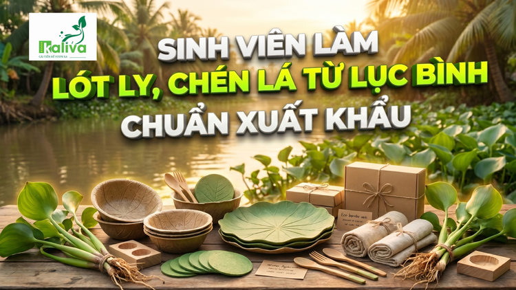 Cùng sống xanh số 147: Sinh viên khởi nghiệp - Biến phế phẩm lục bình thành dụng cụ ăn uống chất lượng châu Âu