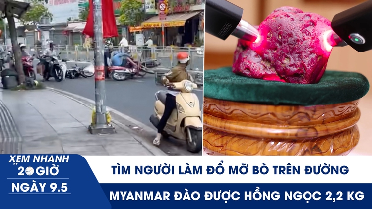 Xem nhanh 20h ngày 9.5: Tìm người làm đổ mỡ bò trên đường ở TP.HCM | Myanmar đào được hồng ngọc 2,2 kg