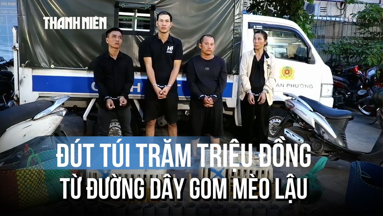 Mỗi ngày gom 50 kg mèo lậu, đút túi hàng trăm triệu đồng chỉ sau vài tháng