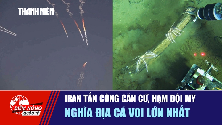 Tiêu điểm quốc tế 12.6: Iran tấn công căn cứ, hạm đội Mỹ | Nghĩa địa cá voi lớn nhất
