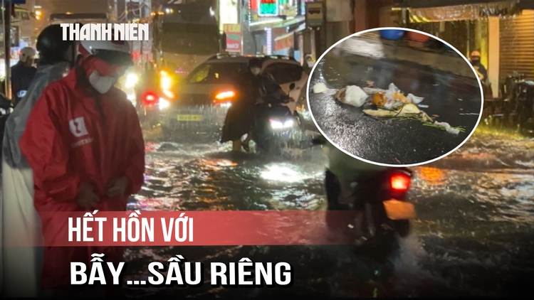Mưa rút, người dân hoảng hồn với bẫy bằng…sầu riêng