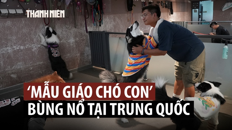 'Mẫu giáo cho cún' đắt khách tại Trung Quốc