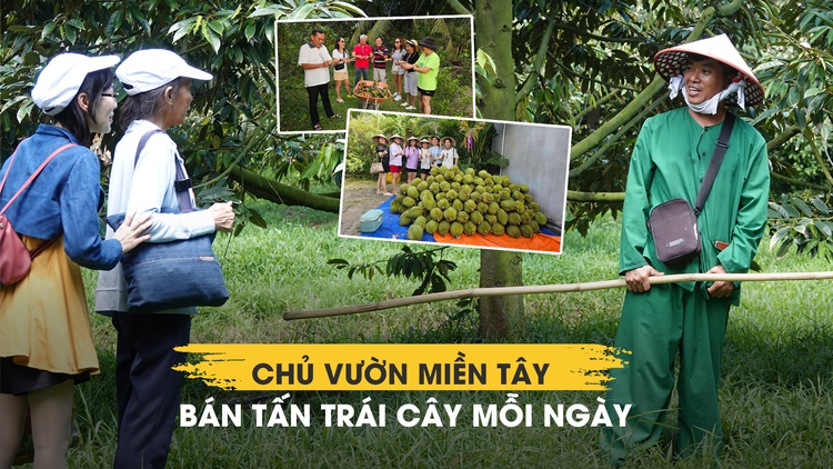 Không thu tiền vé vào cổng, chủ vườn Cần Thơ bán hơn 1 tấn trái mỗi ngày