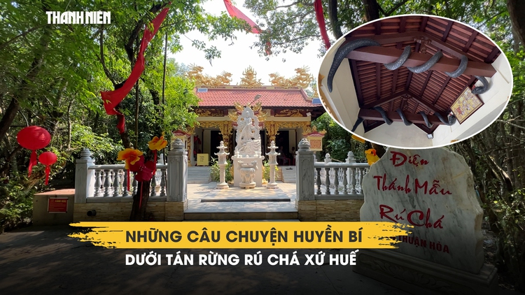 Những câu chuyện huyền bí dưới tán rừng Rú Chá xứ Huế