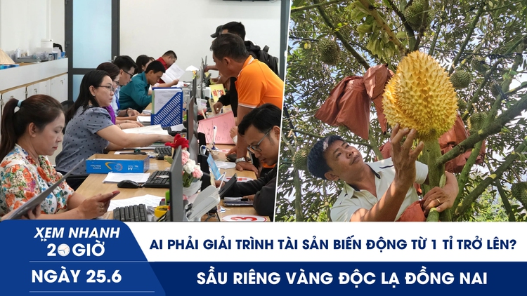 Xem nhanh 20h ngày 25.6: Ai phải giải trình tài sản biến động từ 1 tỉ đồng trở lên? | Sầu riêng vàng độc lạ Đồng Nai