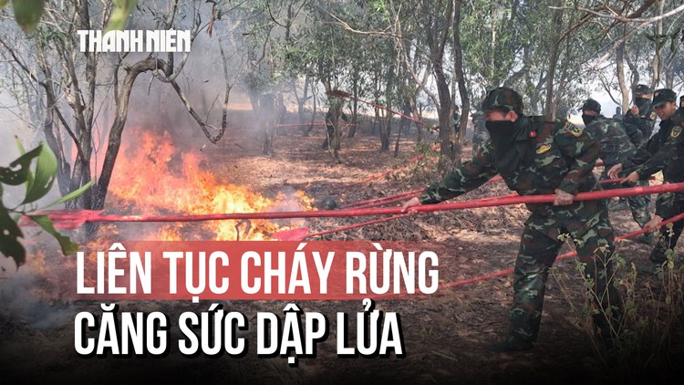 Cháy rừng liên tục ở Quảng Trị: Bộ đội, công an căng sức dập lửa bảo vệ rừng