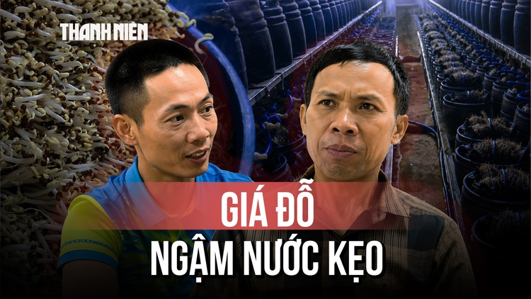 Chủ cơ sở ngâm giá đỗ vào nước kẹo vì 'làm giá hay bị hỏng'