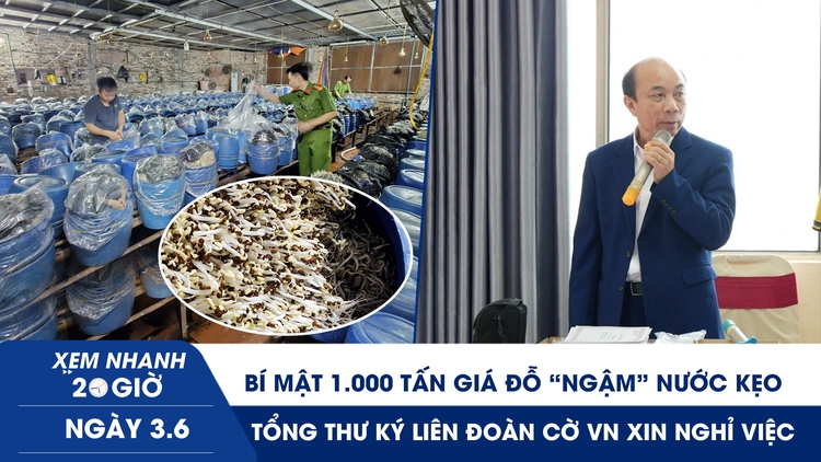 Xem nhanh 20h ngày 3.6: Bí mật 1.000 tấn giá đỗ ‘ngậm’ nước kẹo | Tổng thư ký Liên đoàn Cờ VN xin nghỉ việc