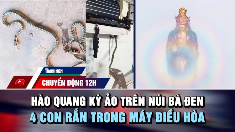 Chuyển động 12h: Hào quang kỳ ảo quanh tượng Phật núi Bà Đen | 4 con rắn trong máy điều hòa