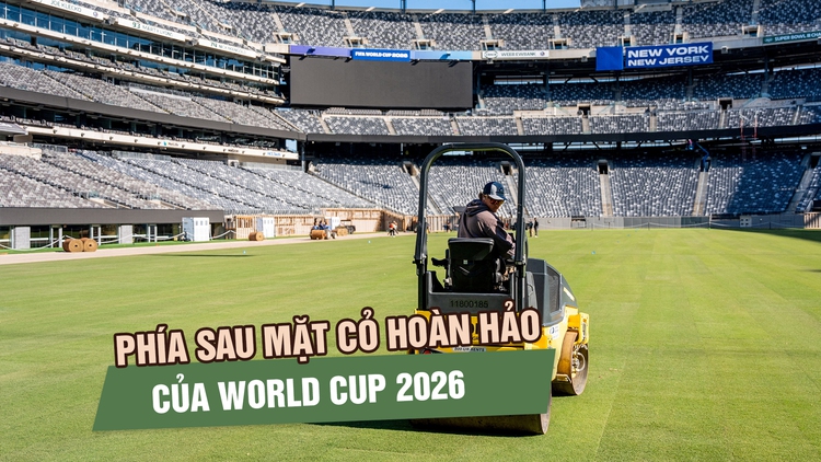Từ phòng thí nghiệm đến World Cup 2026: Hành trình đặc biệt của những thảm cỏ sân bóng