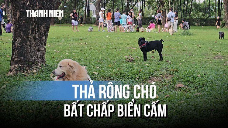 Chó thả rông tràn công viên Cảnh Đồi, người dân bất an