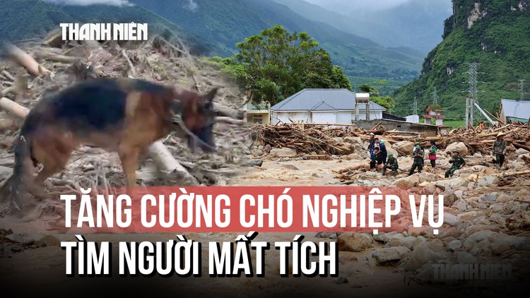 Huy động chó nghiệp vụ tìm kiếm nạn nhân mất tích tại Lai Châu