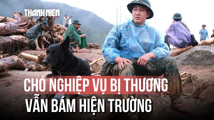 Chó nghiệp vụ tinh nhuệ đến bản Chít: Bị chấn thương vẫn quyết tâm đánh hơi tìm người mất tích