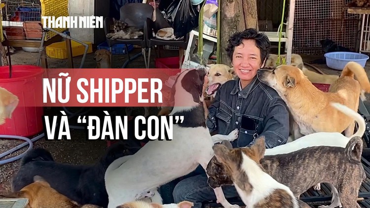 Nữ shipper cưu mang 100 chú chó bị bỏ rơi: ‘Không có thời gian mà cô đơn’