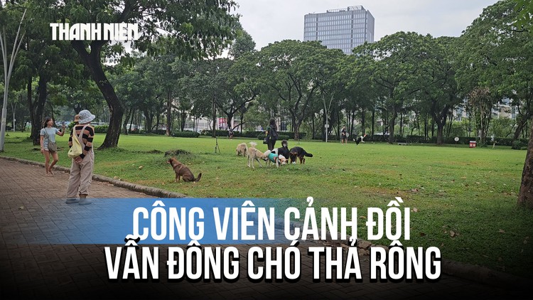 Công viên Cảnh Đồi vẫn đông chó thả rông, không rọ mõm: Lãnh đạo phường nói gì?