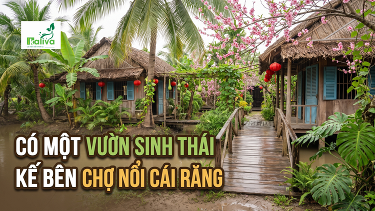 Cùng sống xanh số 159: Vườn sinh thái trọn vẹn trong không gian văn hóa bản địa