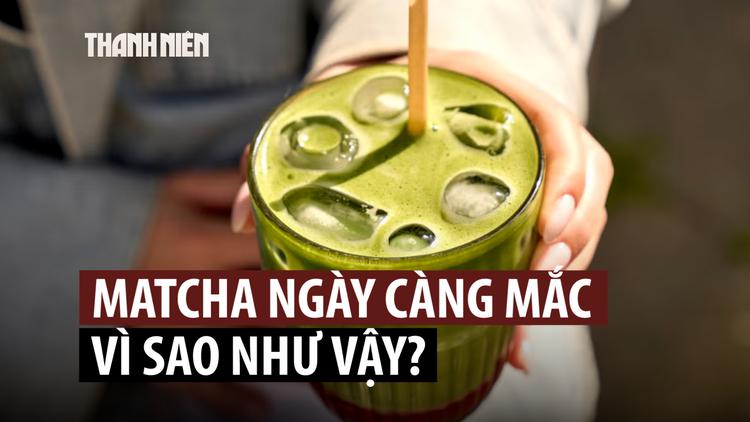 Vì sao matcha ngày càng mắc?