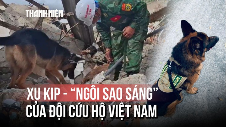 Được đeo huân chương ở Venezuela, 8 chú chó nghiệp vụ Việt Nam có gì đặc biệt?