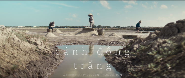 Cánh đồng trắng | Phim ngắn Vietnamese 2026