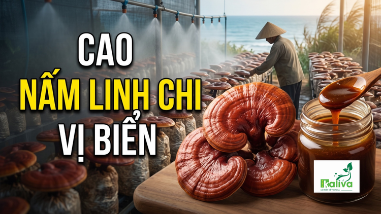Cùng sống xanh 162: Mê nấm, người nông dân học cách nấu cao linh chi giúp người dùng dễ sử dụng hơn