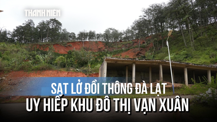 Đà Lạt khẩn cấp cắm biển cảnh báo điểm sạt lở đồi thông uy hiếp công trình hạ tầng