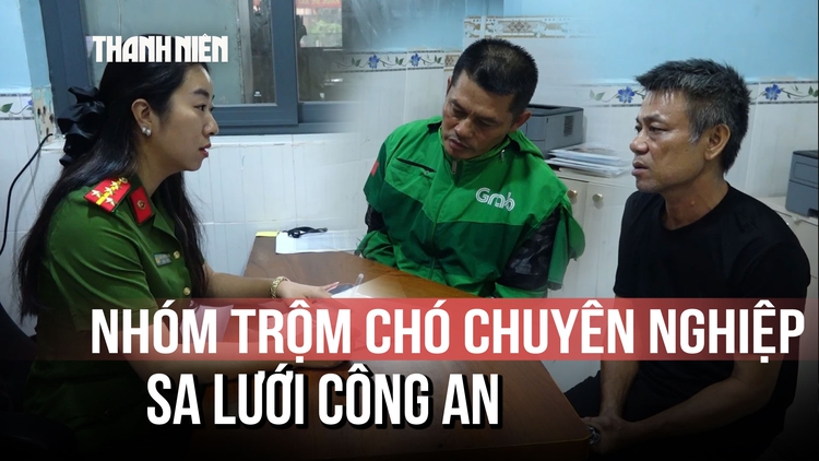 TP.HCM: Vạch trần thủ đoạn trộm chó ở nhiều phường, xã