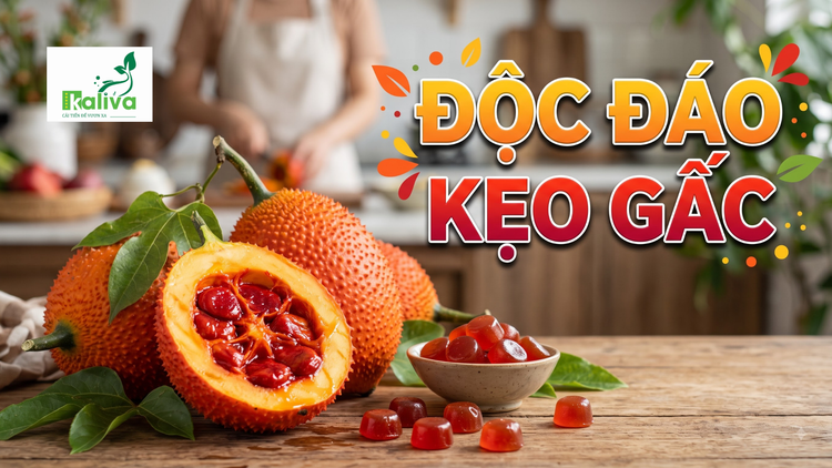 Cùng sống xanh 163: Muốn đưa dược liệu vào cuộc sống, dược sĩ ở Cần Thơ biến gấc thành kẹo