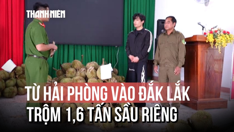 Nghi phạm trộm 1,6 tấn sầu riêng ở Đắk Lắk: 'Cảm thấy có lỗi với nông dân'