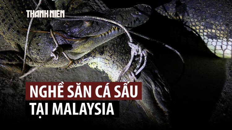 Thợ săn bận rộn khi cá sấu bắt nhiều người ở Malaysia