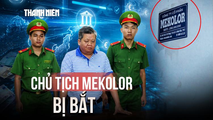 Vì sao ông Vũ Xuân Trường, Chủ tịch Mekolor bị bắt?