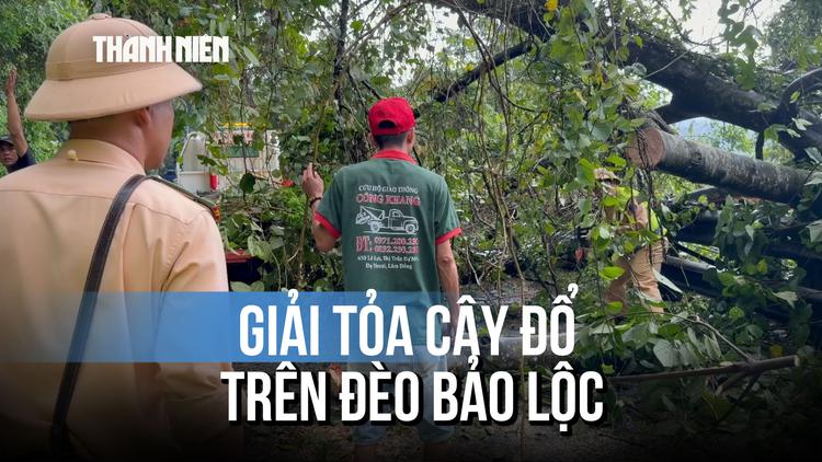 Khẩn trương giải tỏa cây đổ trên đèo Bảo Lộc và sạt lở trên đèo Con Ó
