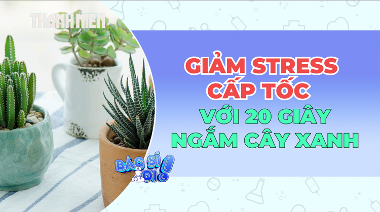 Giảm stress cấp tốc với 20 giây ngắm cây xanh