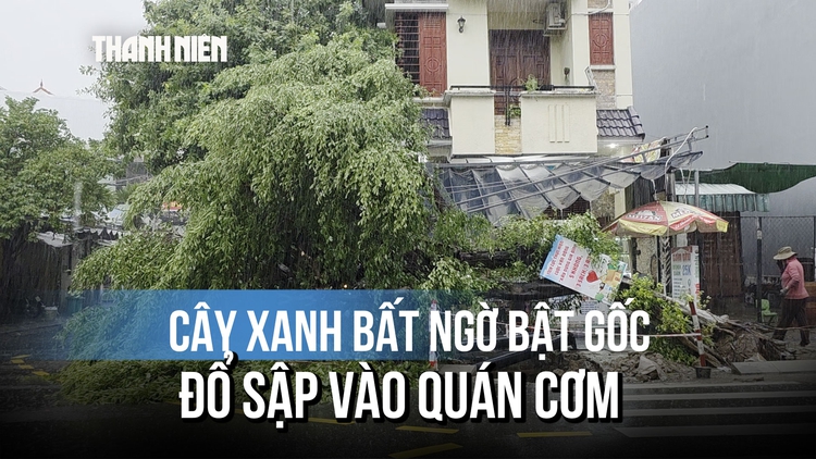 Khoảnh khắc cây xanh bật gốc đè sập quán cơm: Người đàn ông đi xe máy thoát nạn khó tin