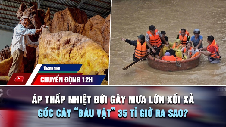 Chuyển động 12h: Áp thấp nhiệt đới gây mưa lớn xối xả | Gốc cây 'báu vật' 35 tỉ đồng giờ ra sao?