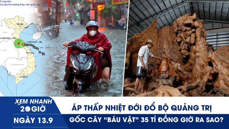 Xem nhanh 20h ngày 13.9: Áp thấp nhiệt đới đổ bộ Quảng Trị | Gốc cây ‘báu vật’ 35 tỉ đồng giờ ra sao?