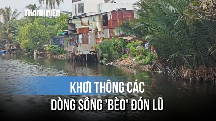 Khánh Hòa: Huy động máy đào và sà lan khơi thông các dòng sông 'bèo' đón lũ