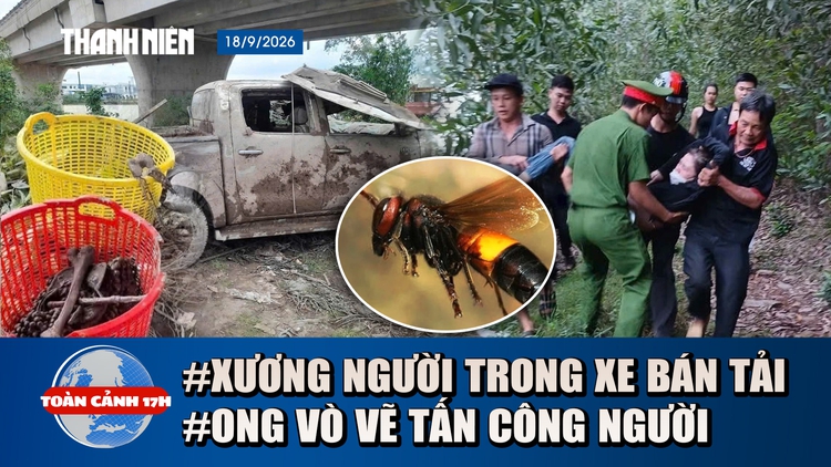 Toàn cảnh 17h: Phát hiện xương người trong xe bán tải dưới sông | Ong vò vẽ tấn công khi đi hái nấm